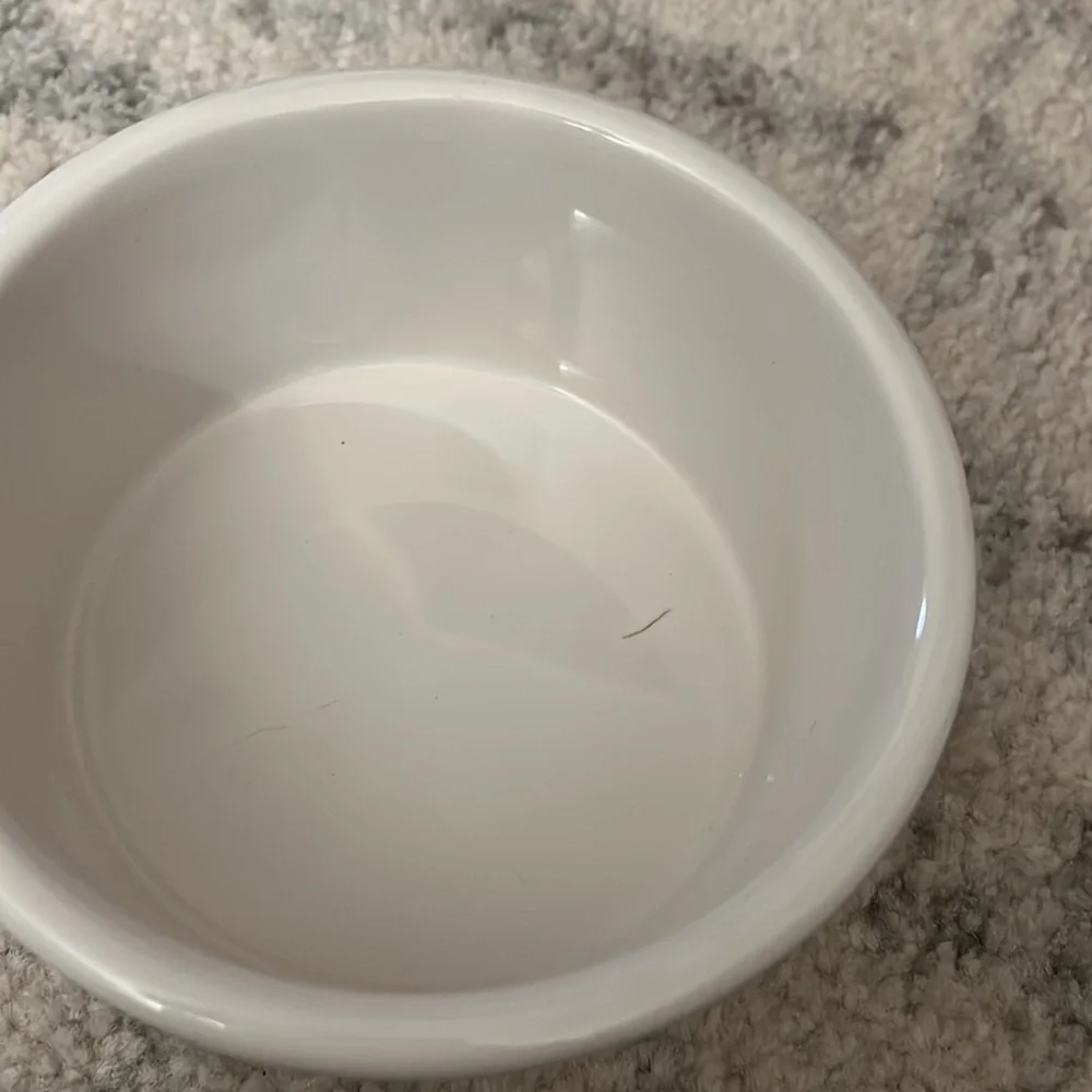 Dog Bowl